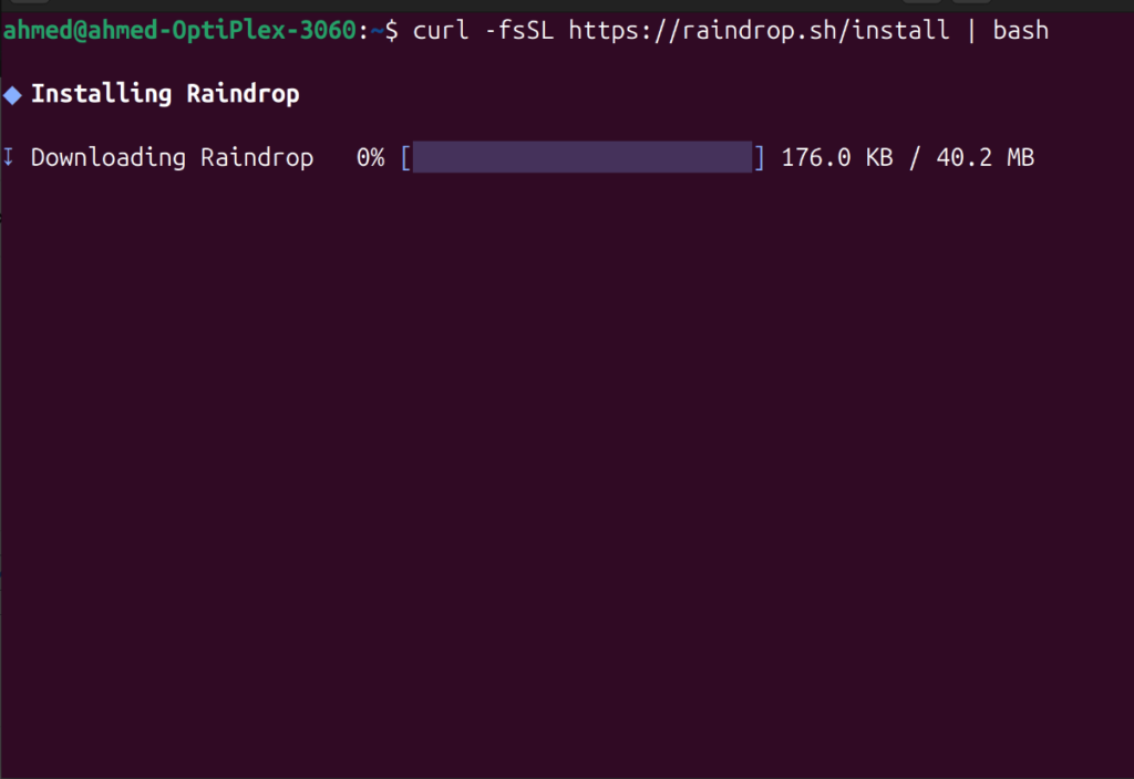 curl -fsSL https://raindrop.sh/install | bash
