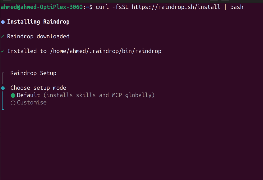 curl -fsSL https://raindrop.sh/install | bash